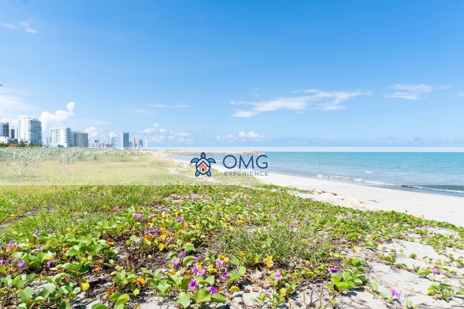 Cb1526 | Tropical Piso 15 Frente Al Mar Apartamento